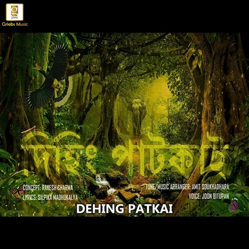 Dehing Patkai Silpika Madhukalya, Amit Soukhadhara, Joon Bitupon