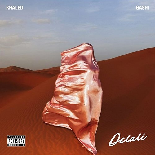 Delali Khaled, GASHI