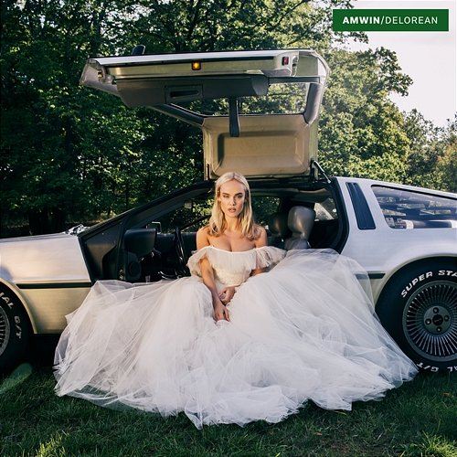 DeLorean AMWIN