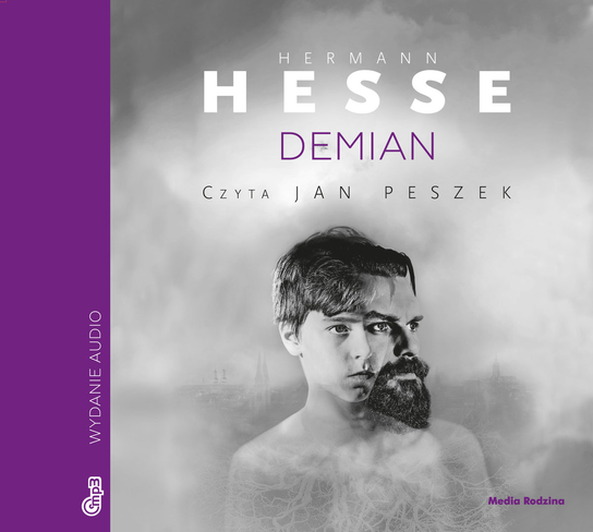 Demian Hesse Hermann