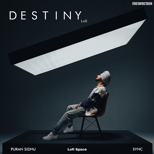 Destiny Puran Sidhu, Sync & Lofi Space