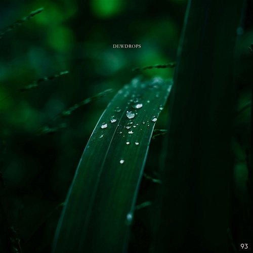Dewdrops August Wells