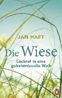 Die Wiese Haft Jan