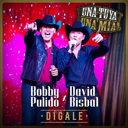 Dígale Bobby Pulido, David Bisbal