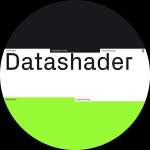 Digital Entropy, płyta winylowa Datashader