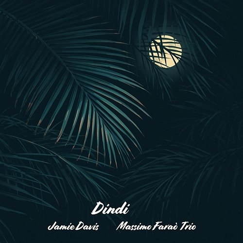 Dindi Massimo Faraò Trio, Jamie Davis