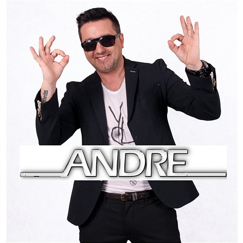 Disco polo gra Andre