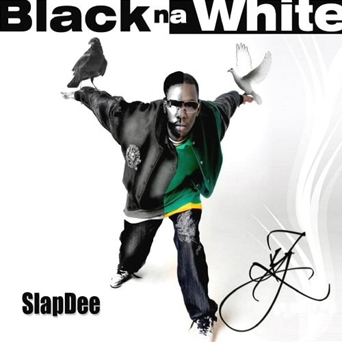 Disposable SLAP DEE