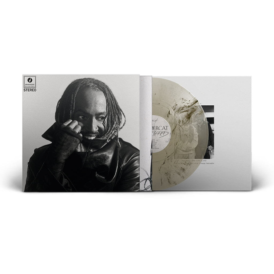 Distracted, płyta winylowa Thundercat