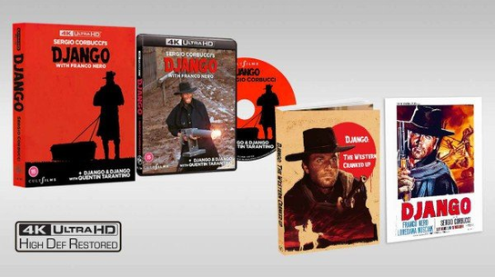 Django Various Directors