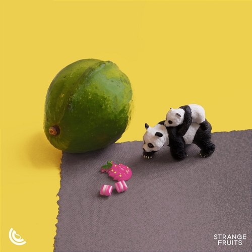 DNA Dance Fruits Music