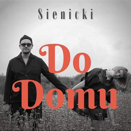 Do Domu Sienicki