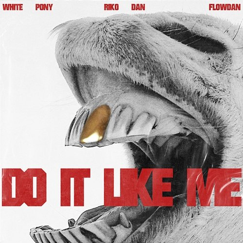 Do It Like Me White Pony, Riko Dan, Flowdan