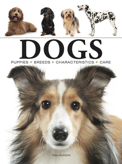 Dogs Jackson Tom