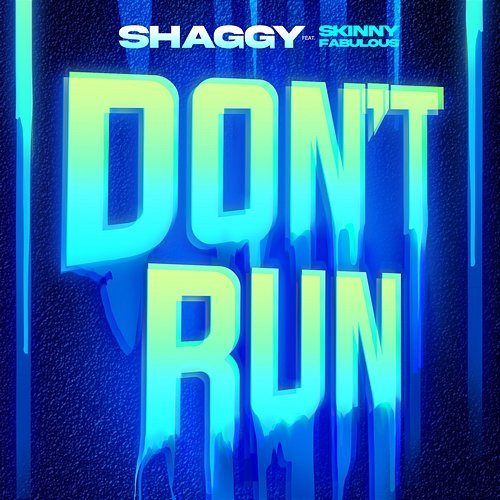 Don't Run Shaggy feat. Skinny Fabulous