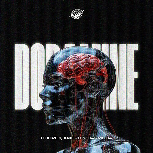 Dopamine Coopex, Barmuda