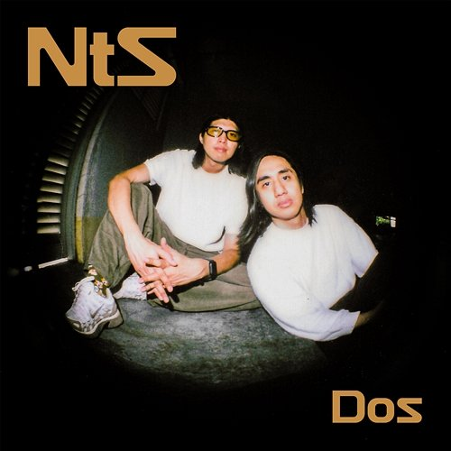 Dos Never The Strangers