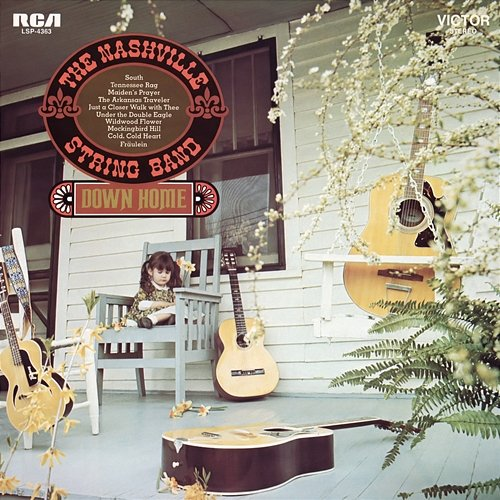 Down Home The Nashville String Band