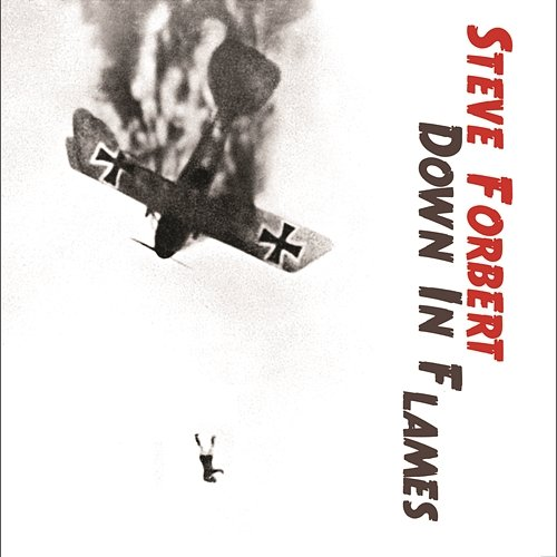 Down In Flames Steve Forbert