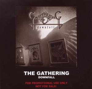 Downfall The Gathering