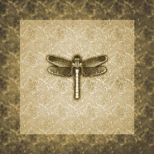 Dragonfly BabaKumpas