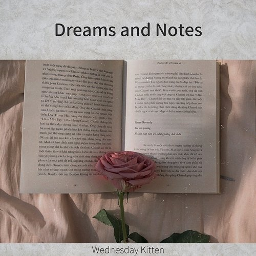 Dreams and Notes Wednesday Kitten