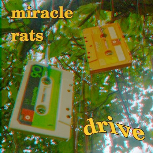 Drive Miracle Rats