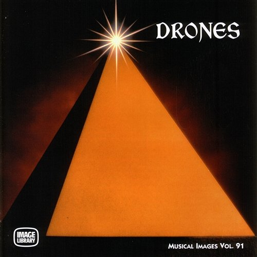Drones Frank Tayla