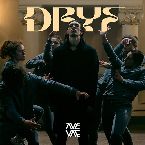 Dryf VAE VISTIC feat. Frank Leen