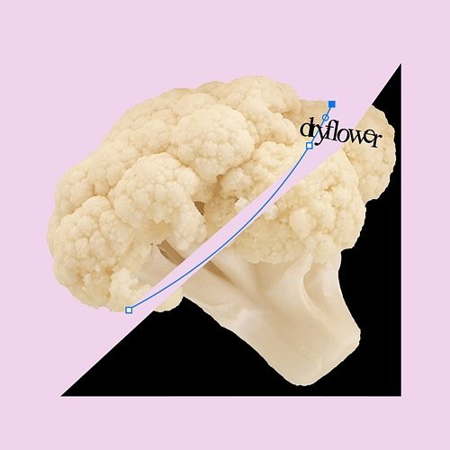 dryflower Llwyd