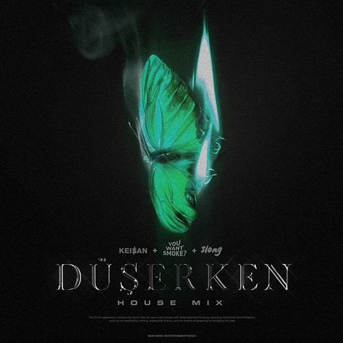 Düşerken (Remix) Keisan & Berkay Duman & Slong