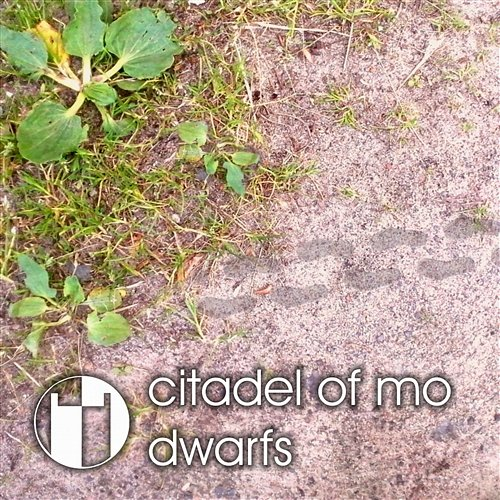 Dwarfs Citadel of Mo