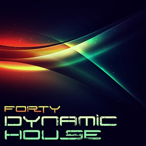 Dynamic House Forty