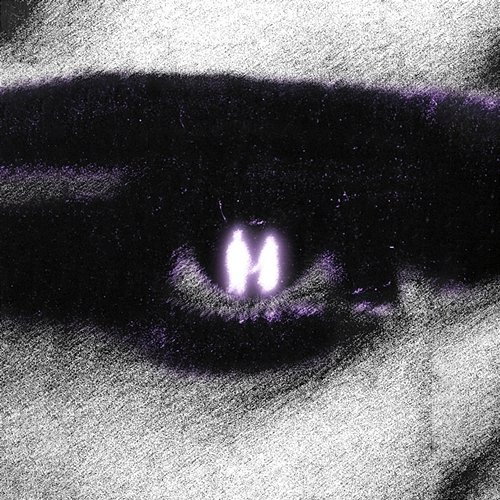 DYNASTY HXVEN