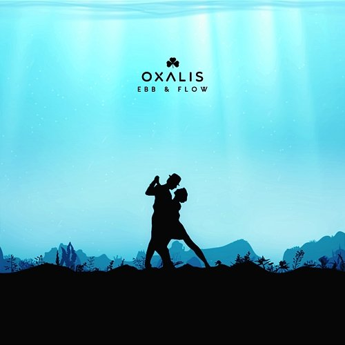Ebb & Flow Oxalis