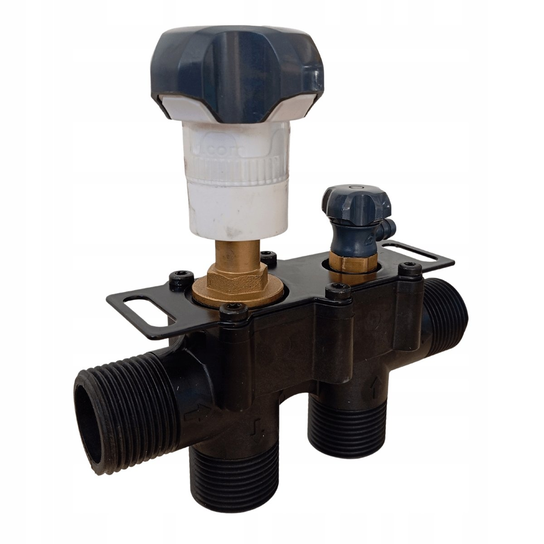 Ecosoft BWT Multiblock Inline 1" Polymer Ecosoft