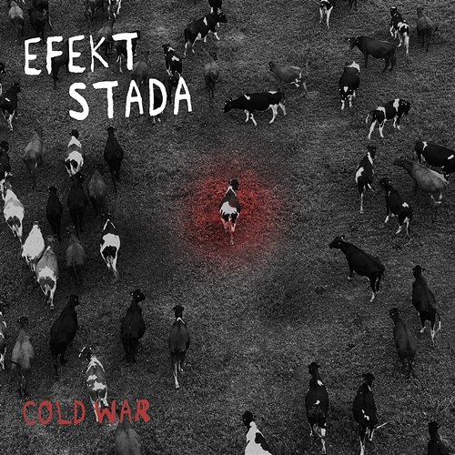 Efekt stada Cold War