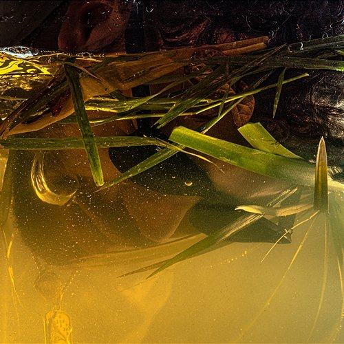 Effetto Coanda Sciclitano, Kasp, Rosin