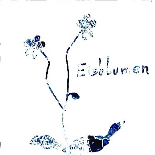 Eisblumen K.F.D