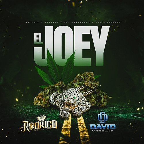 El Joey Rodrigo Y Sus Muchachos, David Ornelas