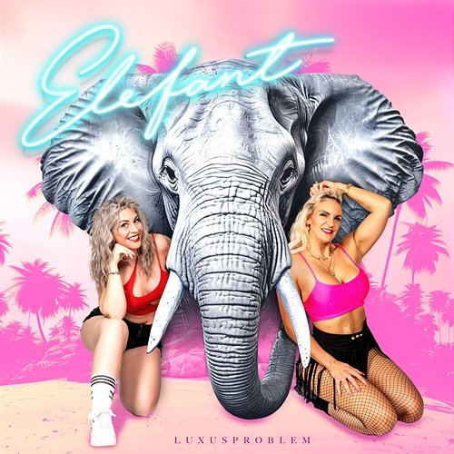 Elefant Luxusproblem