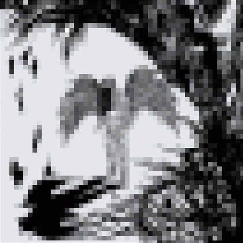 ELEMENT zaky