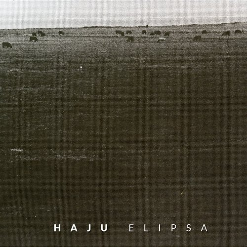 Elipsa Haju