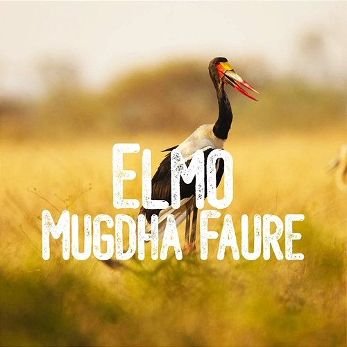 Elmo Mugdha Faure