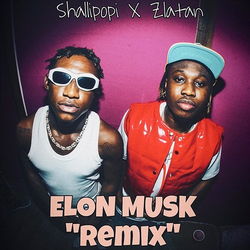 Elon Musk Shallipopi & Zlatan