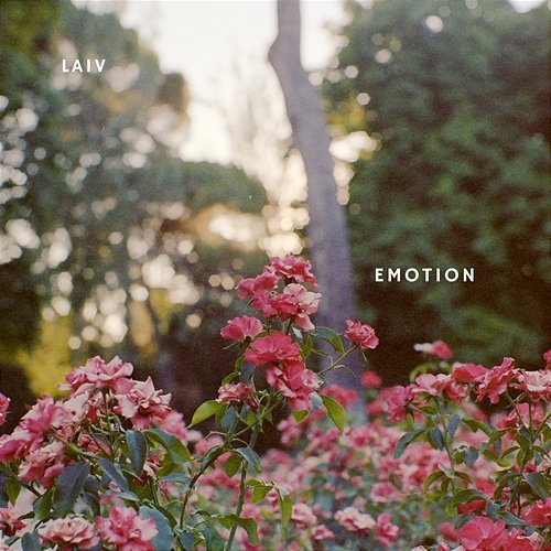Emotion Laiv