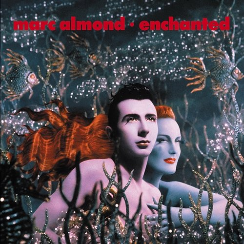 Enchanted Marc Almond