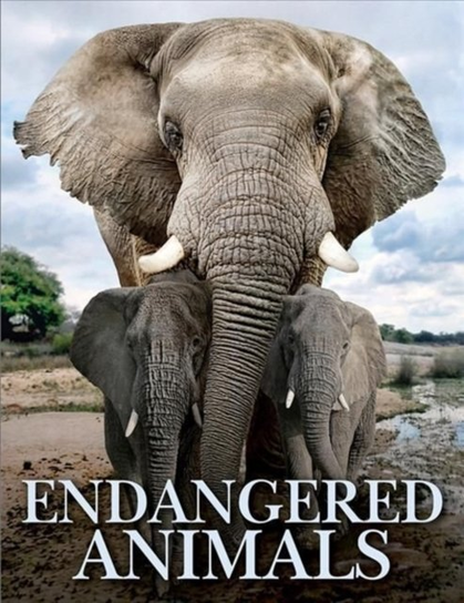 Endangered Animals Jackson Tom