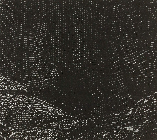 Entity Null