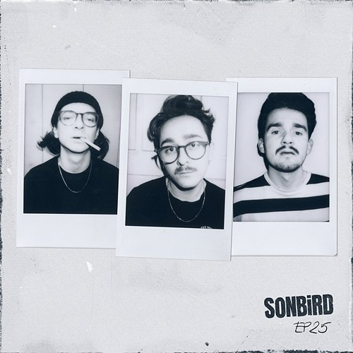 EP25 Sonbird